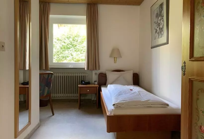 シングルベーシックルーム, Alpenhotel Sonneck Mit Bergbahnticket