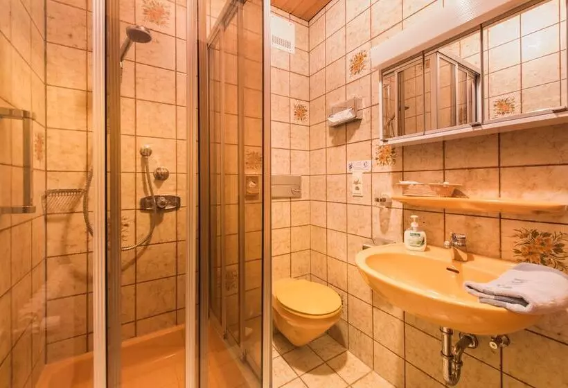 シングルベーシックルーム, Alpenhotel Sonneck Mit Bergbahnticket