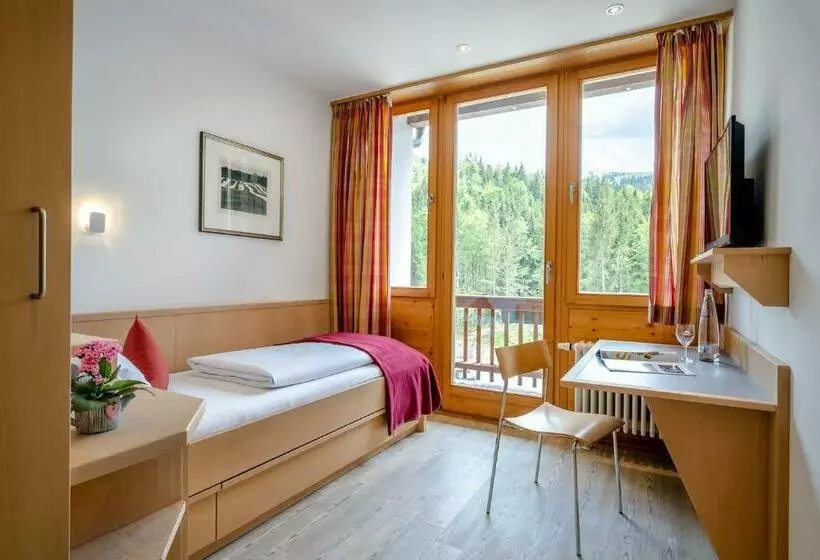 スタンダードシングルルーム, Berghotel Sudelfeld