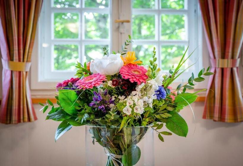 غرفة قياسية, Berghotel Sudelfeld