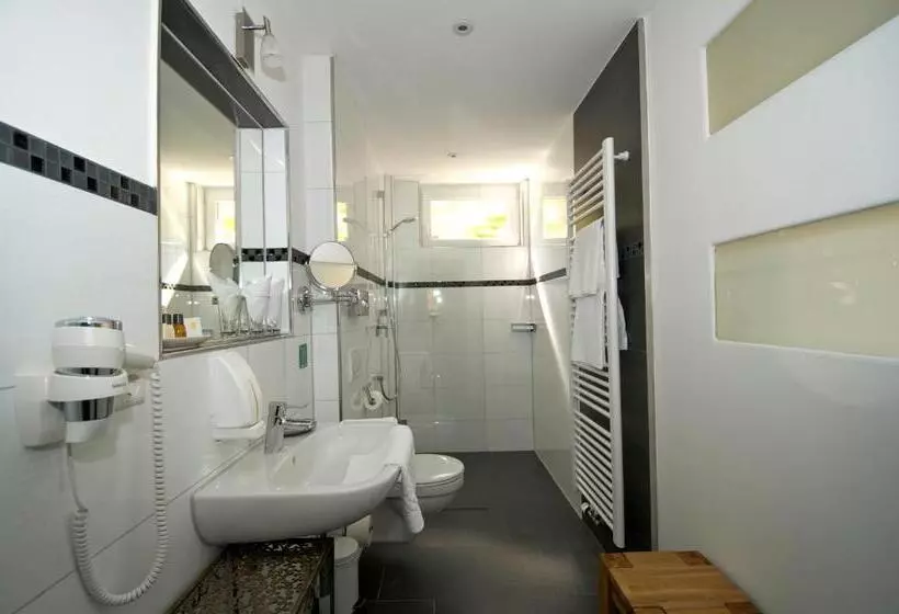 スタンダードルーム, Boutique Hotel Friesinger
