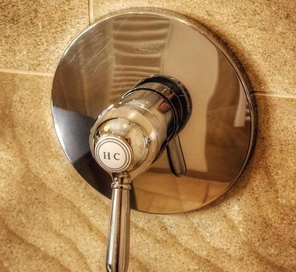 غرفة بريميوم, Parkhotel Surenburg