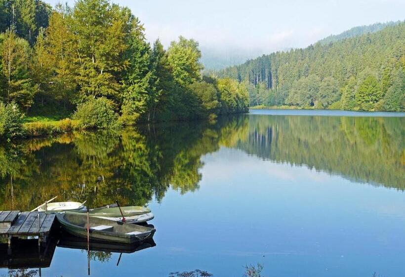 Номер Basic, Pension Waldeck