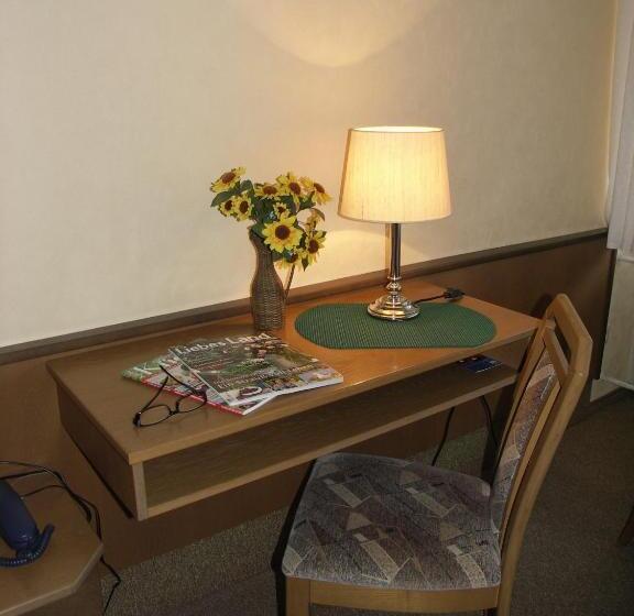 标准单人间, Pension Wölfel