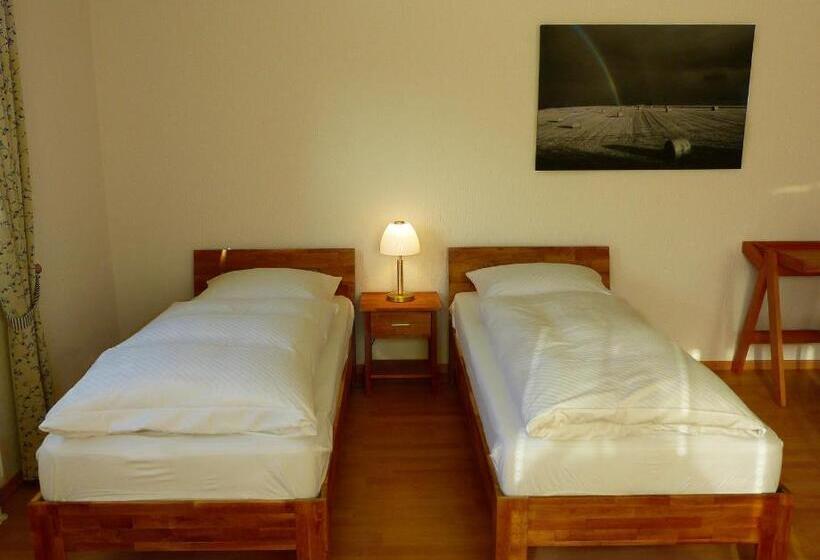 Апартаменты 1 Спальня, Landhaus Bolzum