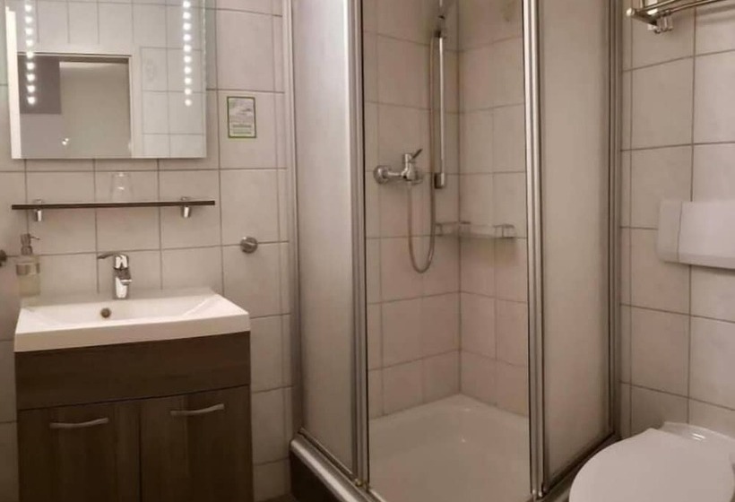 Номер Стандарт Индивидуальный, Parkhotel Am Schloss