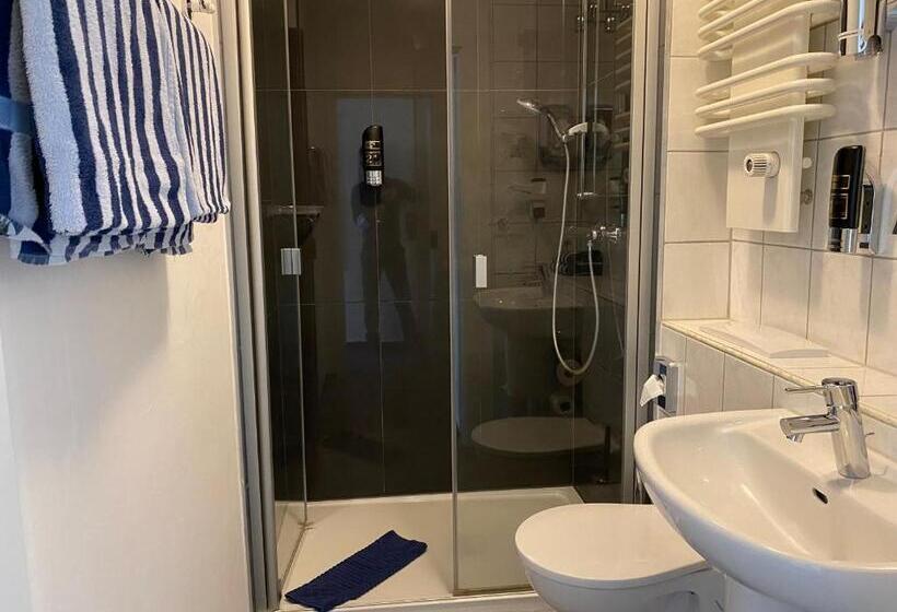 标准单人间, Trip Inn Parkhotel Bad Ems