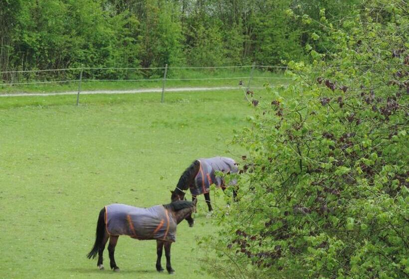 标准间, Gasthaus Zum Dörenberg