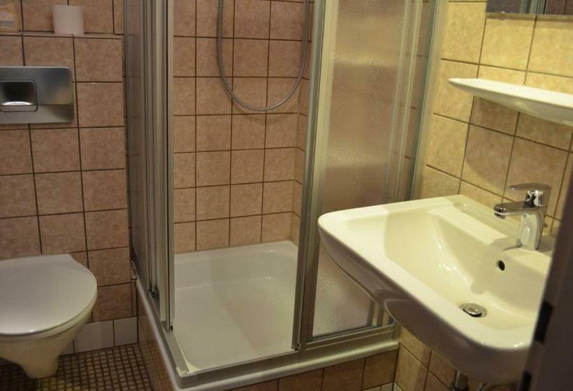 Номер Стандарт Индивидуальный, Alte Post   Hotel Am Rhein Ufer Laufenburg