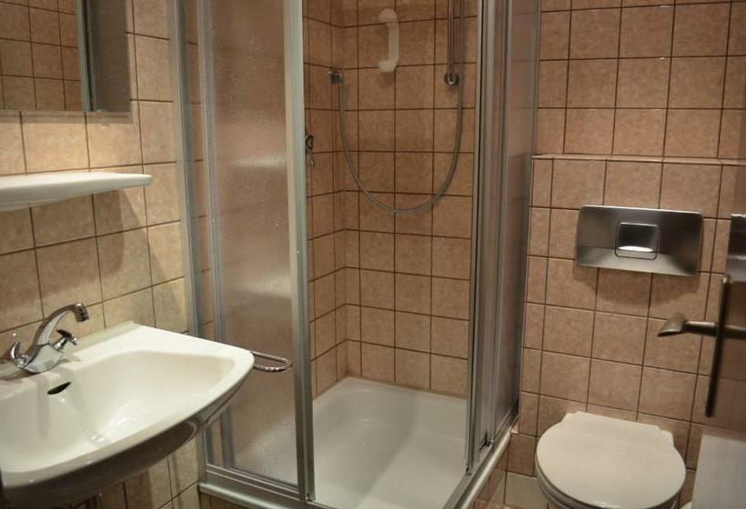 Номер Economy, Alte Post   Hotel Am Rhein Ufer Laufenburg