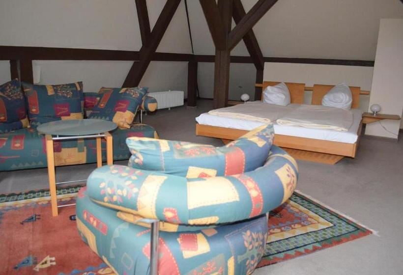 Семейный Номер, Alte Post   Hotel Am Rhein Ufer Laufenburg
