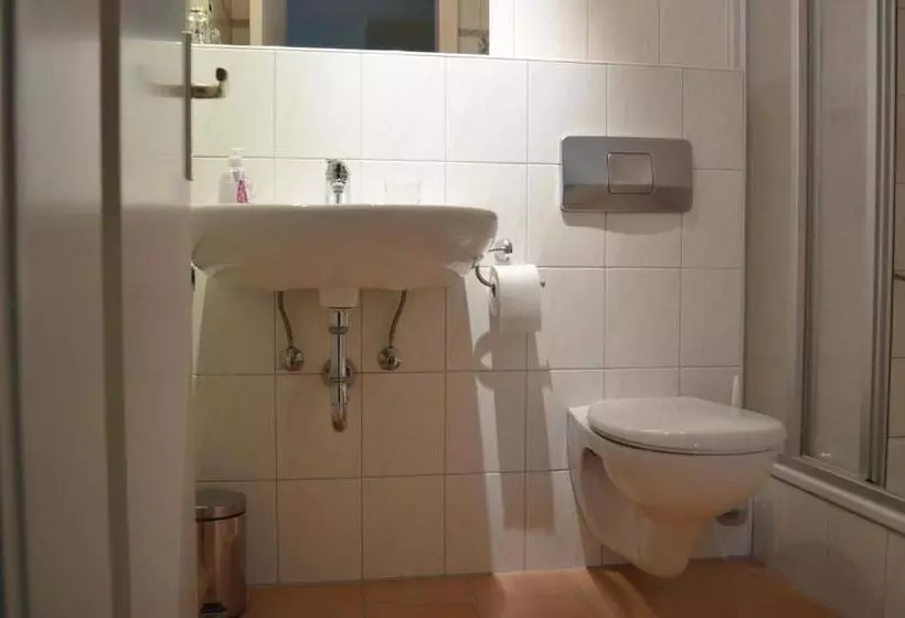 Comfort-huone, Alte Post Hotel Am Rhein Ufer Laufenburg