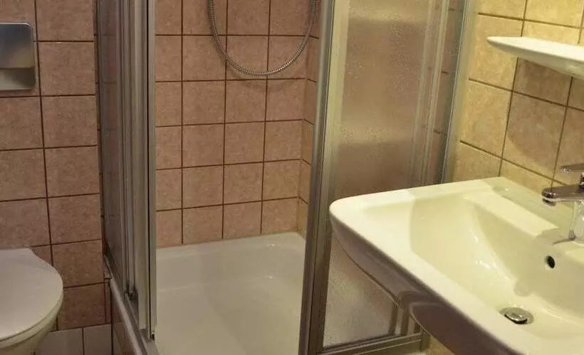 Standard Yhden Hengen Huone, Alte Post Hotel Am Rhein Ufer Laufenburg