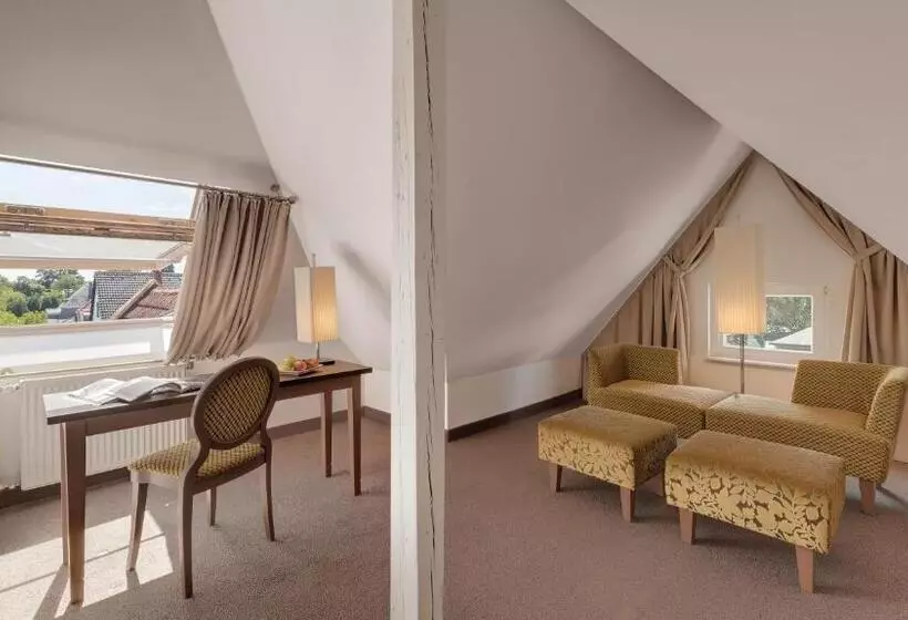 スタンダードルーム, Boutiquehotel Dreesen   Villa Godesberg