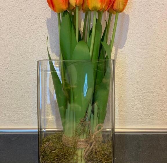 سوئیت دولوکس با چشم‌انداز رودخانه, Am Hafen