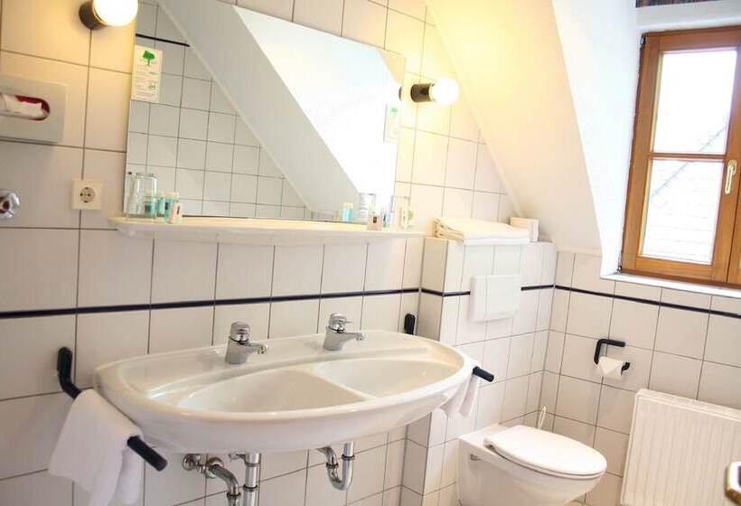 חדר סטנדרט, Erlenbacher Hof