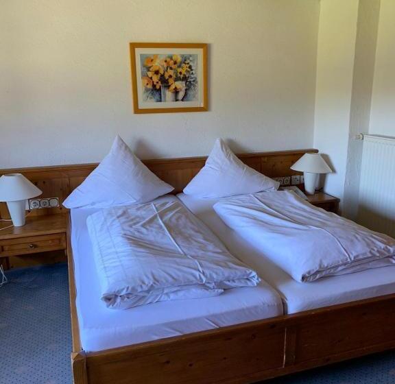 Номер Стандарт, Evviva