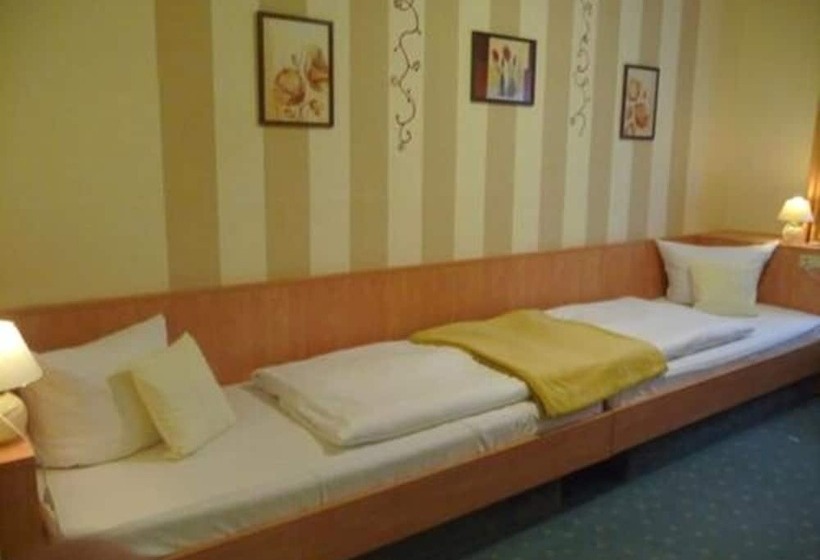 غرفة قياسية فردية, Garni Am Schlosspark