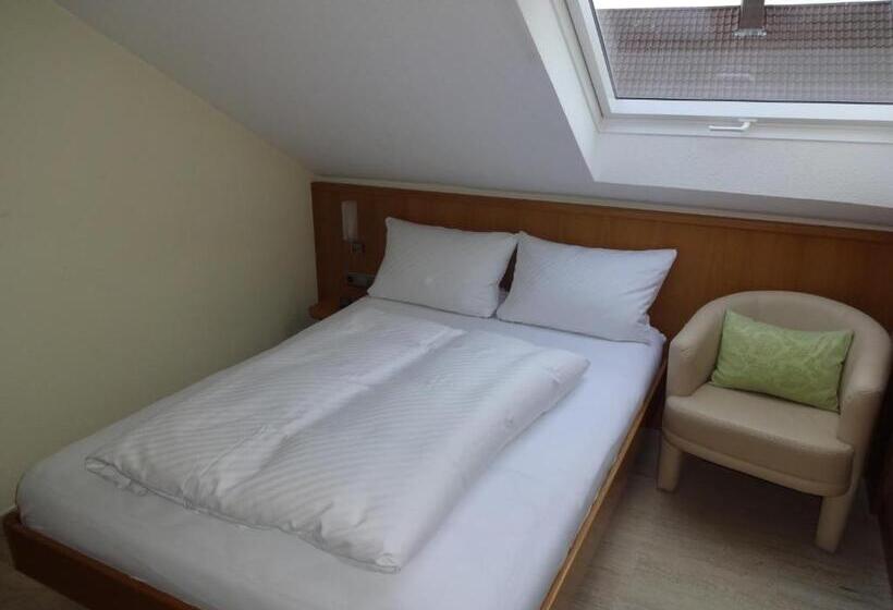 غرفة قياسية ثلاثية, Ricci