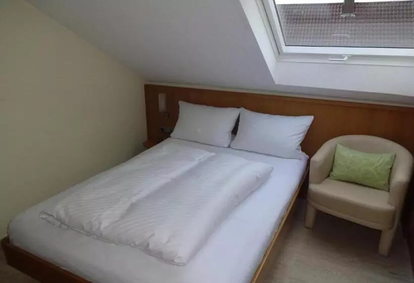 Quarto Triplo Standart, Ricci