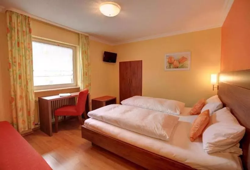 Quarto Triplo Standart, Ricci