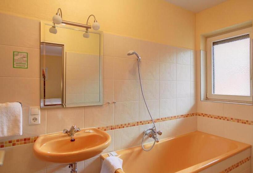 غرفة قياسية ثلاثية, Ricci