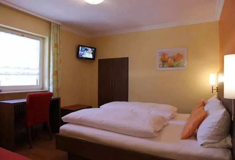 Quarto Triplo Standart, Ricci