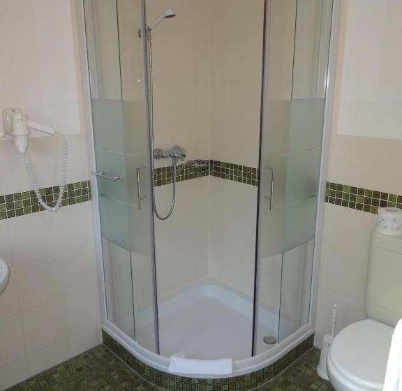 غرفة قياسية, Ricci