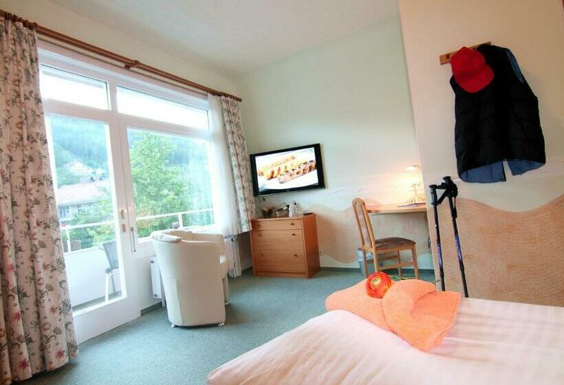 Standart Tek Kişilik Oda, Weingartner