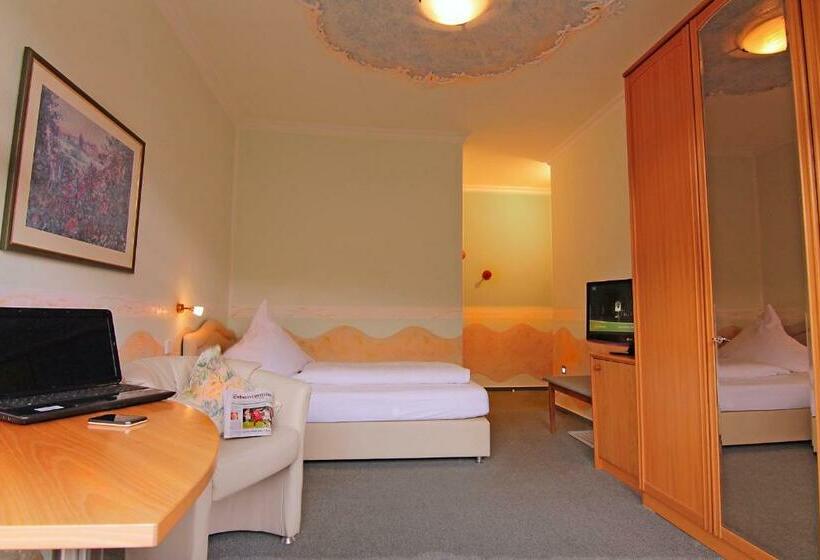 Standart Tek Kişilik Oda, Weingartner