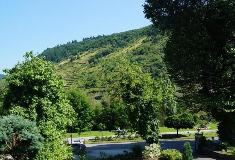 اتاق راحتی, Parkhotel Cochem