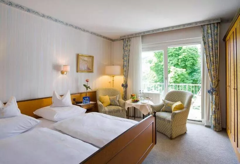 コンフォートシングルルーム, Privat Hotel Villa Aurora