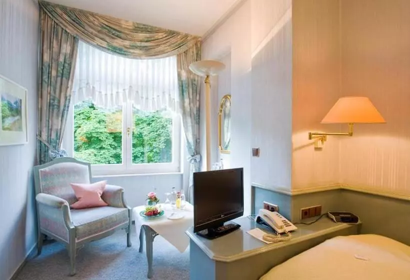 コンフォートシングルルーム, Privat Hotel Villa Aurora