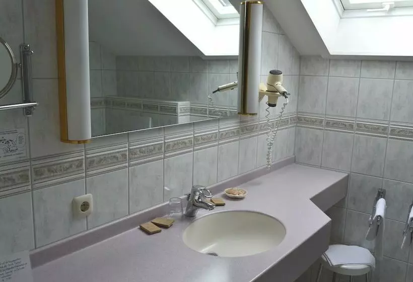 Standard-huone, Wellness Und Vitalhotel Böhmhof