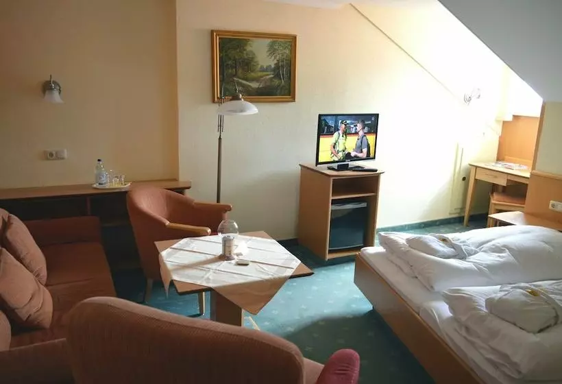 Standard-huone, Wellness Und Vitalhotel Böhmhof