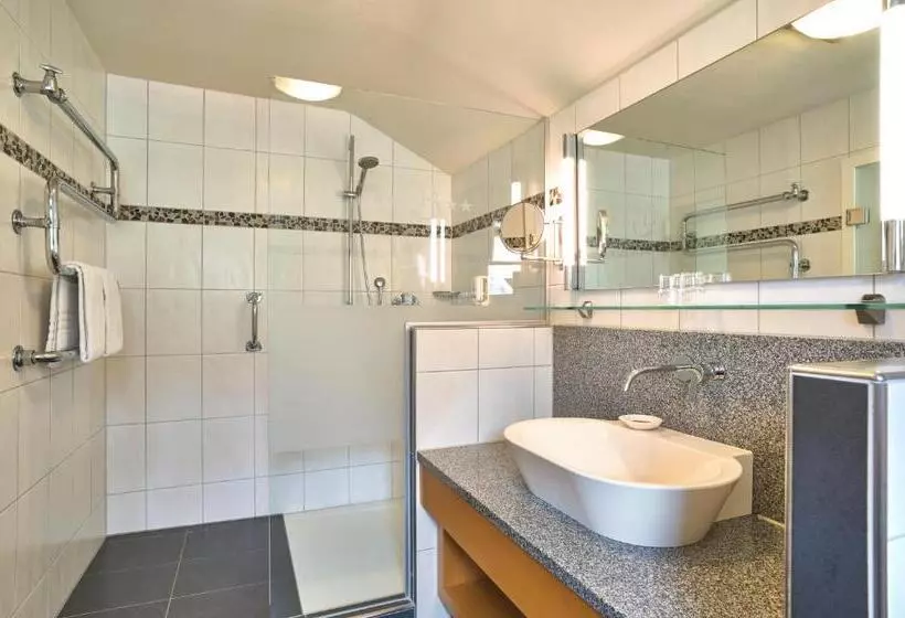 Standard-huone, Wellness Und Vitalhotel Böhmhof