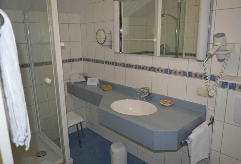 Номер Стандарт, Wellness Und Vitalhotel Böhmhof