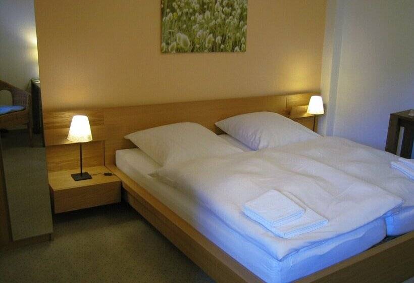 Номер Стандарт, Pension Am Helenenwall