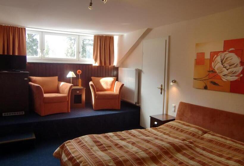 标准间, Grainauer Hof