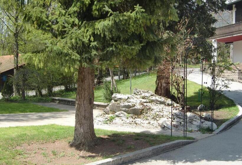 标准间, Grainauer Hof