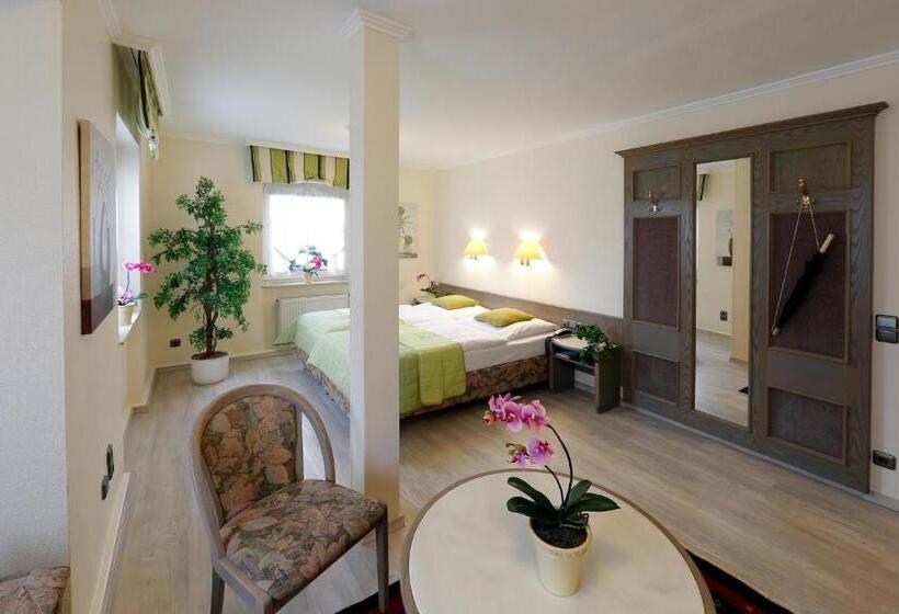 Апартаменты 1 Спальня, Hessischer Hof