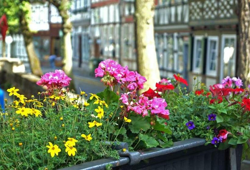 اتاق استاندارد یک نفره, Kaiserhof