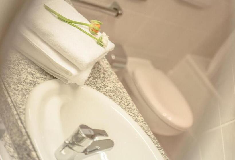 جناح, Motorsport Arena