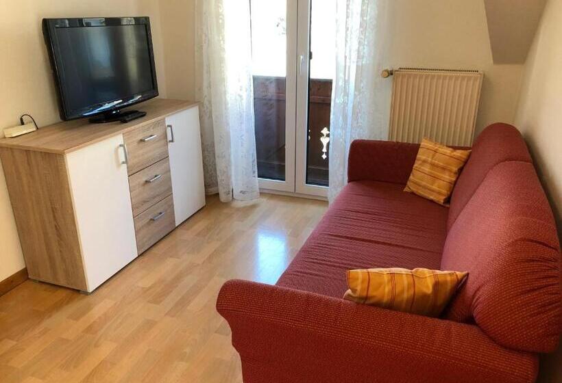 带2个卧室的公寓, Rose Heidelberg Inklusive Frühstück & Saunanutzung