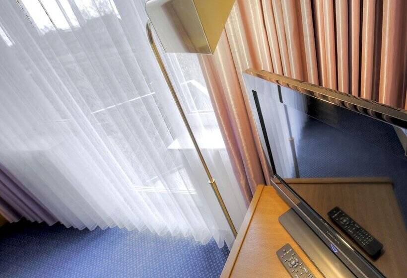 חדר סטנדרט יחיד, Zur Prinzenbrucke