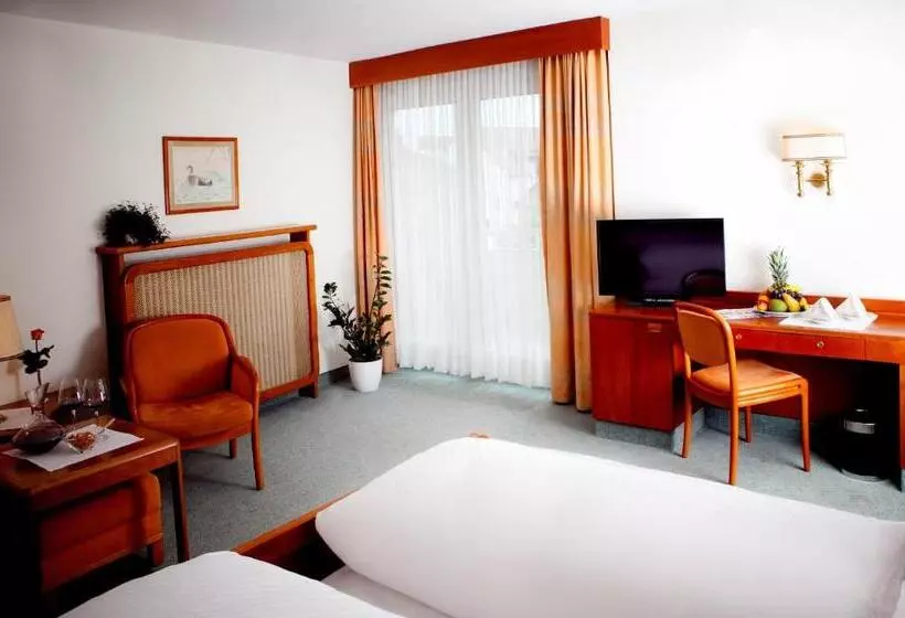 スタンダードルーム, Kurhotel Roswitha