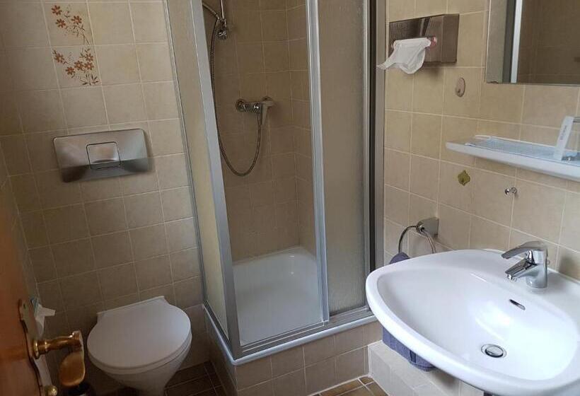 이코노미 싱글 룸, Kurhotel Roswitha