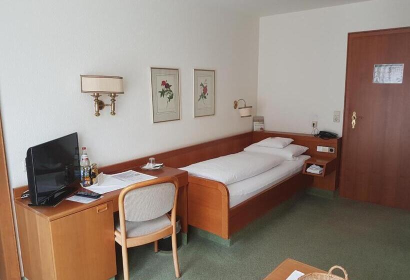 Номер Economy Индивидуальный, Kurhotel Roswitha