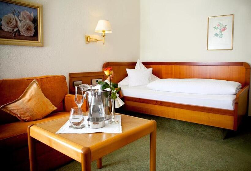 수피리어 싱글 룸, Kurhotel Roswitha