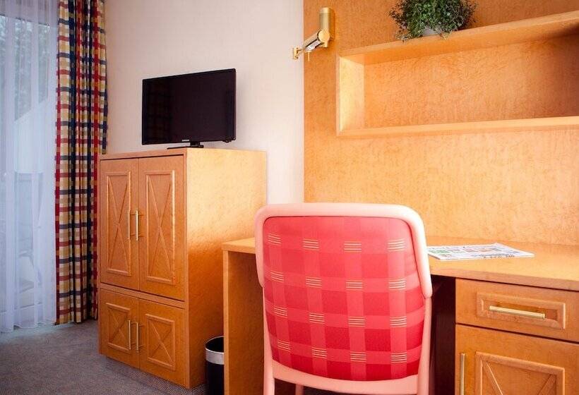 컴포트 싱글 룸, Kurhotel Roswitha